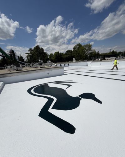 3 a Modern Painting worker painting on a navy blue logo onto the bottom of a freshly painted public pool